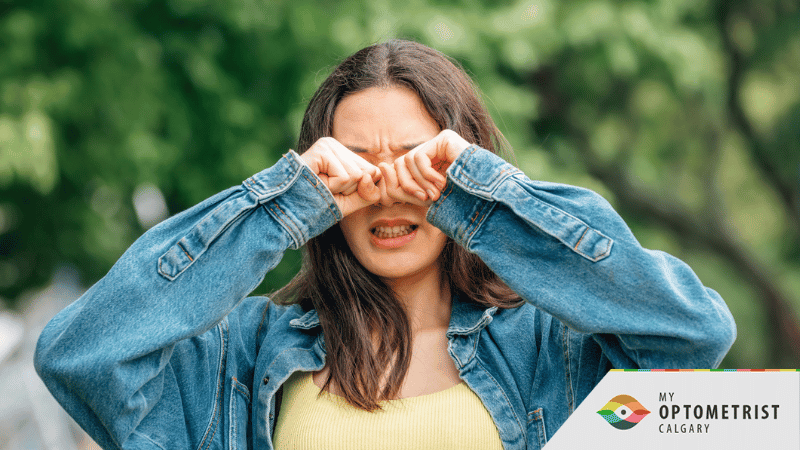 Dry Eye vs Eye Allergies: How to Tell the Difference